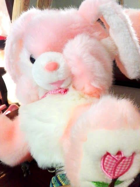 Beautiful Plush Pink Teddy Hand Puppet!