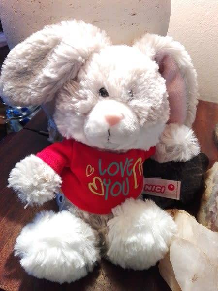Cuddles, the softest, cutest bunny ever!  Nici Toy!