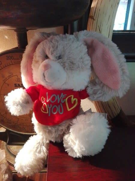 Cuddles, the softest, cutest bunny ever!  Nici Toy!