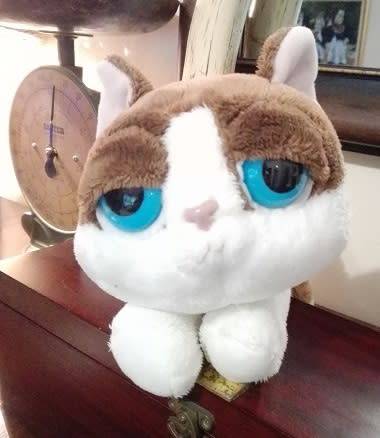 RARE Lil` Peepers Maggie the Ragdoll Cat by Russ Berrie - Item no 85773. Great Price!