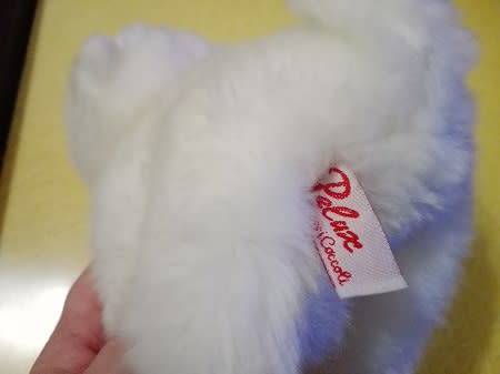 Scruffy the cutest doggie ever!