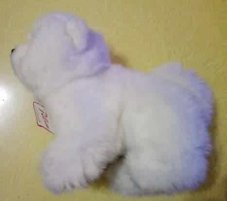 Scruffy the cutest doggie ever!