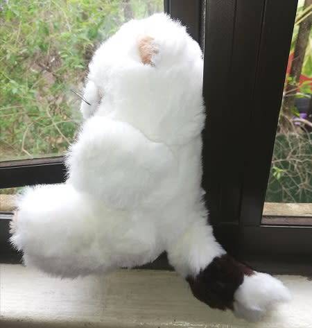 Rocky the Raccoon.  A Beautiful White Plush Soft Toy.  25cm.