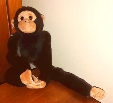 Bongo the Monkey.  Super plush Se-Mo soft toy.  40cm.