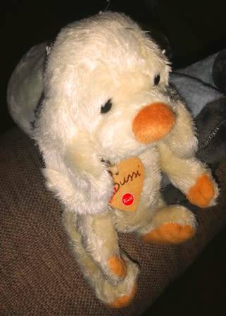 Bussi the Doggie!  Trudi plush soft toy with wooden Heart!  26cm.
