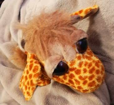 Russ Berrie - Lil` Peepers Leda the Giraffe!