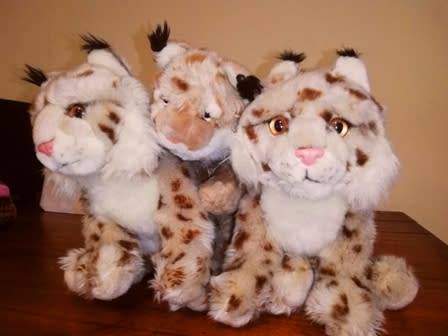 Family of 3x Lynx Bobcats! Beautiful, plush soft toys!