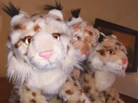Family of 3x Lynx Bobcats! Beautiful, plush soft toys!