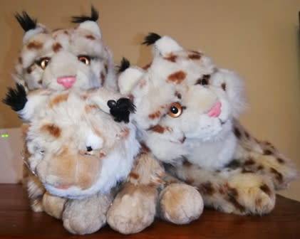 Family of 3x Lynx Bobcats! Beautiful, plush soft toys!