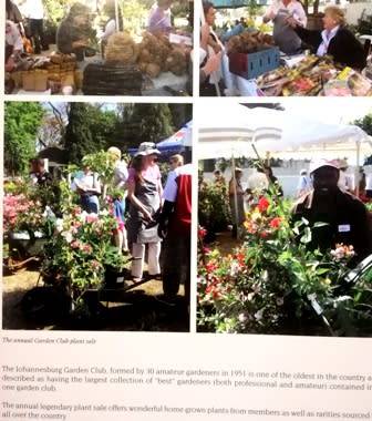 JHB Garden Club. Monthly Notes for Highveld Gardens.