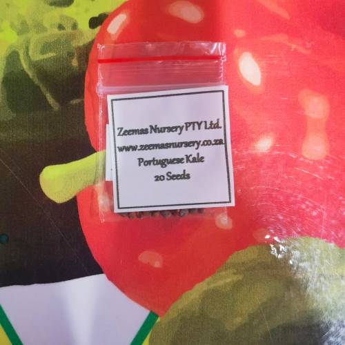 Portuguese Kale 20 Seeds