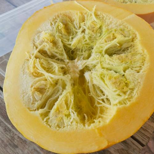 Giant Atlantic Pumpkin (10 Seeds)