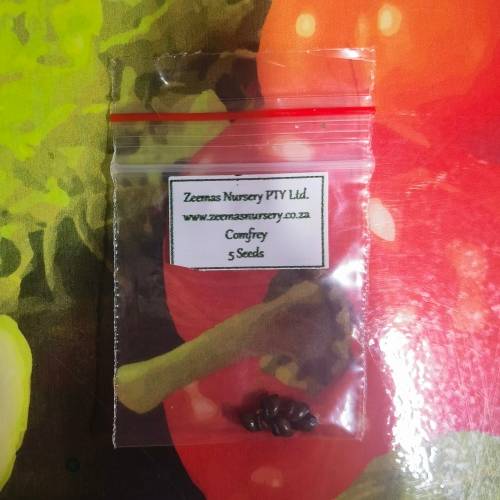 Comfrey Organic - 5 Seeds