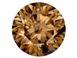 CHAMPAGNE DIAMONDS 0.025Cts EACH