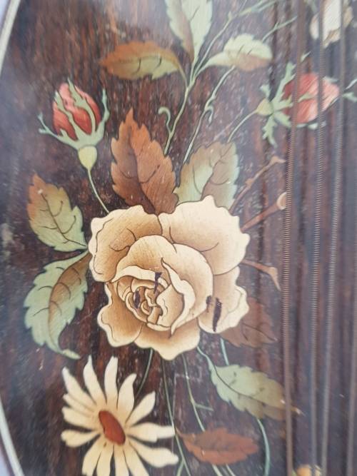 Rare Antique German Concert  Zither / Fretted Fingerboard / Lap Guitar in Carry Case