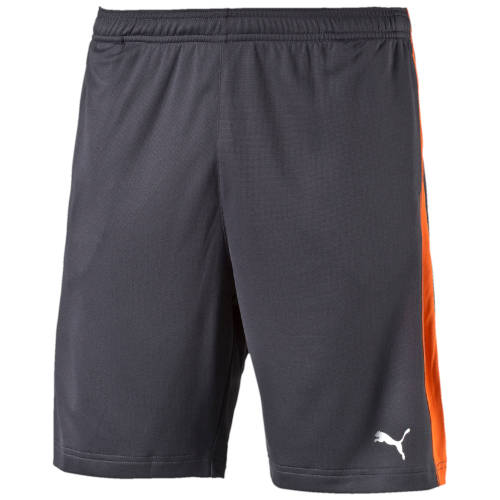 PUMA DRY ESSENTIAL JERSEY SHORTS SIZE EXTRA LARGE!!!!!MARKET VALUE R599.99