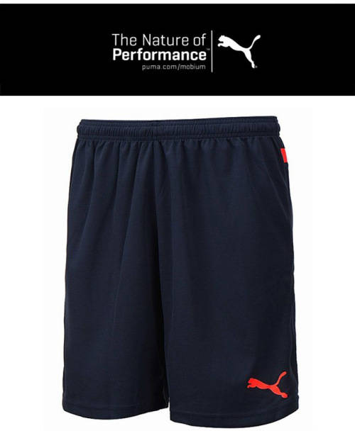 PUMA ORIGINAL BTS SHORTS FOR MEN SIZE 2XL !!!!!! MARKET VALUE R699.99