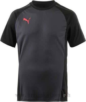 PUMA ORIGNAL EVO TRG TEE FOR MEN SIZE EXTRA LARGE !!!!!! MARKET VALUE R699.99
