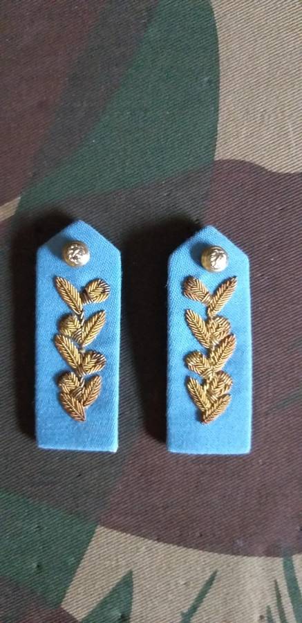 SAAF GENERALs GORGETS set