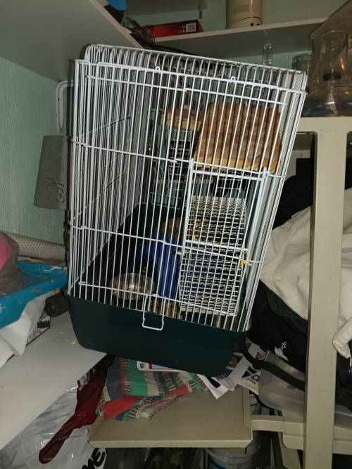Large Hamster / Rat Cage - Big Cage