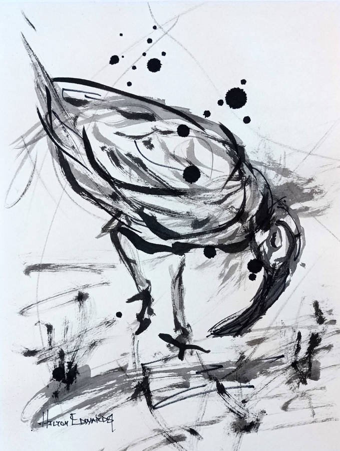 Hilton Edwards Abstract Art Painting - Hadeda