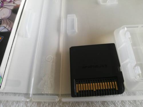 Nintendo Ds heartgold game