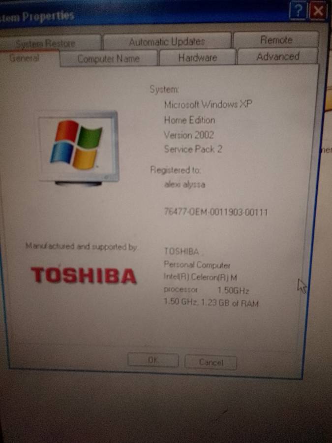 Toshiba Satellite L10