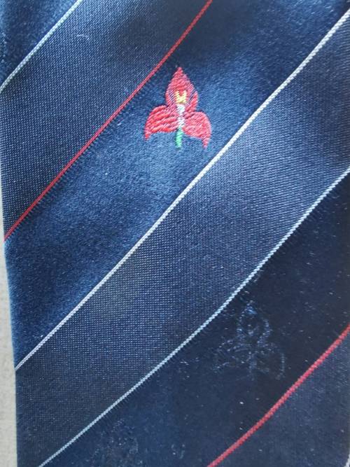 Lot of Rugby Ties