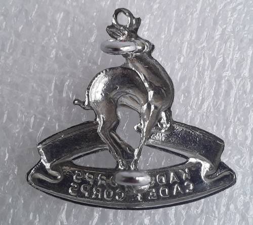 SA Cadet Corps Badge (Silver Metal). Lugs intact.