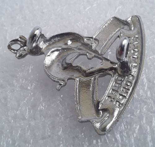 SA Cadet Corps Badge (Silver Metal). Lugs intact.