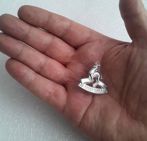 SA Cadet Corps Badge (Silver Metal). Lugs intact.