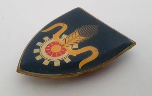 SADF Quartermaster General Shoulder Flash (all pins intact).