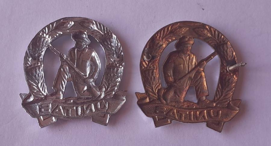 Pair SADF Commando Collar Badges (Facing).  Pins Intact.