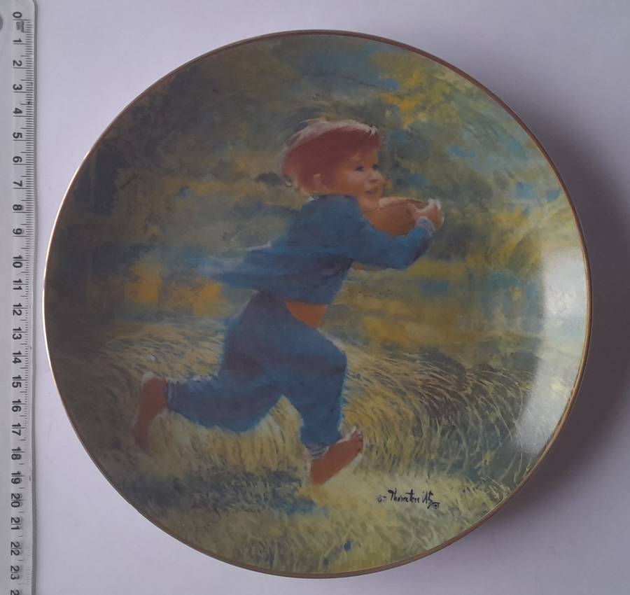 Vintage Plate By Viletta. `Touchdown` By Artist `Thornton Utz`. Signed And Dated. 22 cm.
