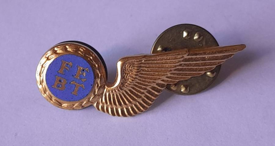 SA Air Force Flight Engineer Metal Wing Badge. Pins Intact.