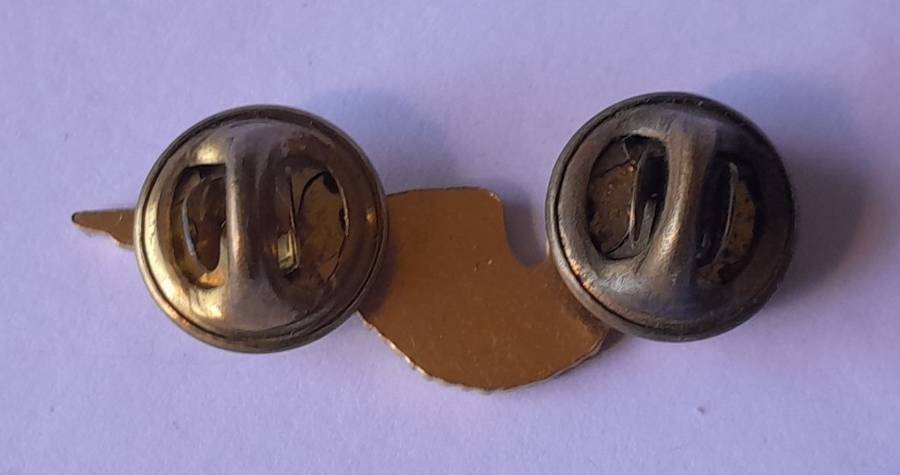 SA Air Force Flight Engineer Metal Wing Badge. Pins Intact.