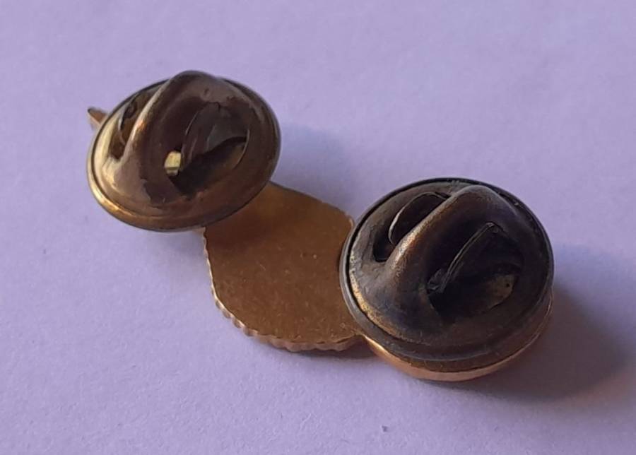 SA Air Force Flight Engineer Metal Wing Badge. Pins Intact.