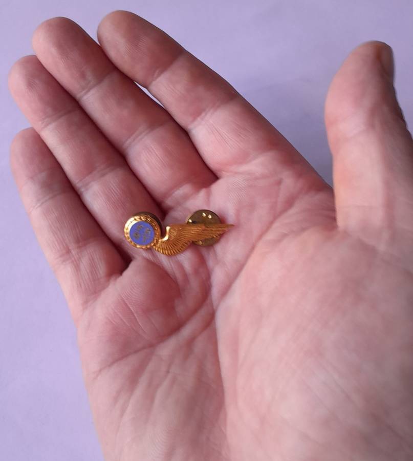 SA Air Force Flight Engineer Metal Wing Badge. Pins Intact.