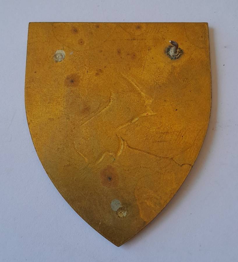 SADF Technical Service Corps Shoulder Flash. 1 Pin intact..