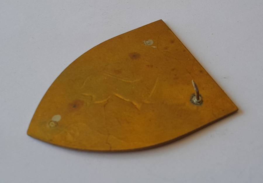 SADF Technical Service Corps Shoulder Flash. 1 Pin intact..