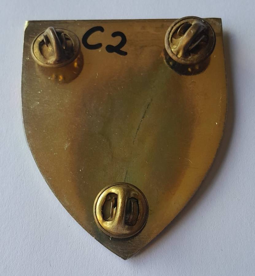 SADF 1 Parachute Battalion Shoulder Flash.  All Pins Intact.