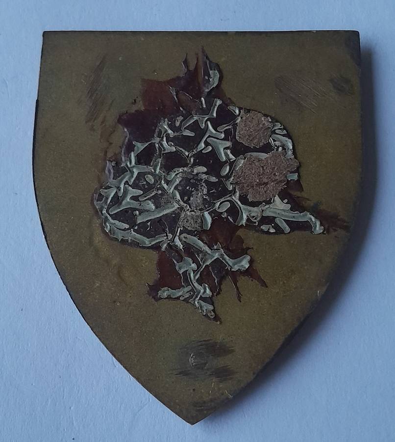 SADF Army Gymnasium Shoulder Flash.  No Pins.