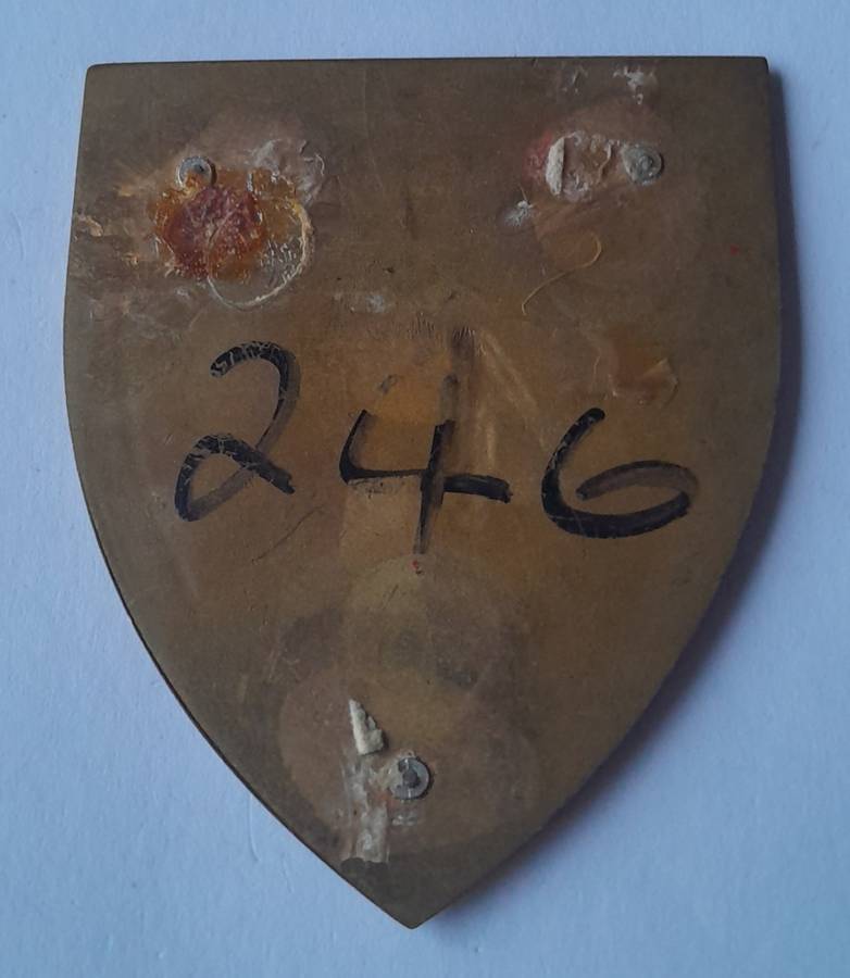 SADF 47 Survey Squadron Shoulder Flash.  No Pins.