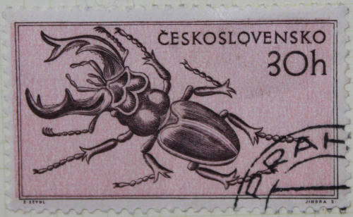 Czechoslovakia 1955 Fauna - Animals and Insects