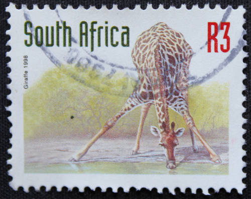 1997 -2000 Endangered Fauna