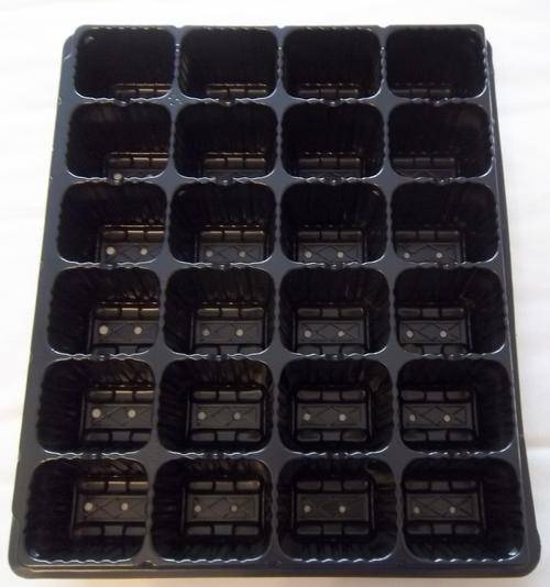 SEEDLING TRAYS 24 DIVISION - SEEDLING TRAY