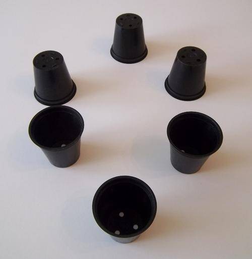 Plant Pots 5 cm - Plant Pots
