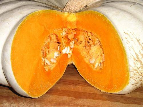 PUMPKIN SEEDS - 10 SEEDS FLAT WHITE BOER PUMPKIN SEEDS