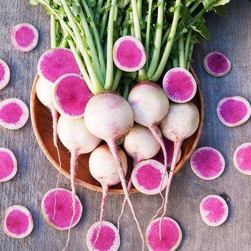 RADISH SEEDS WATERMELON - 25 RADISH SEED
