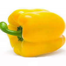 PEPPER SEEDS CALIFORNIA WONDER YELLOW - 100 SWEET PEPPER SEEDS